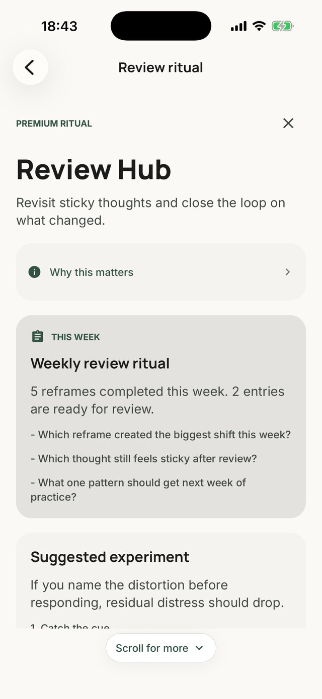 Relief — The reframe flow